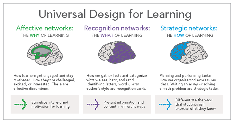 Universal Design For Learning Guidelines Chart